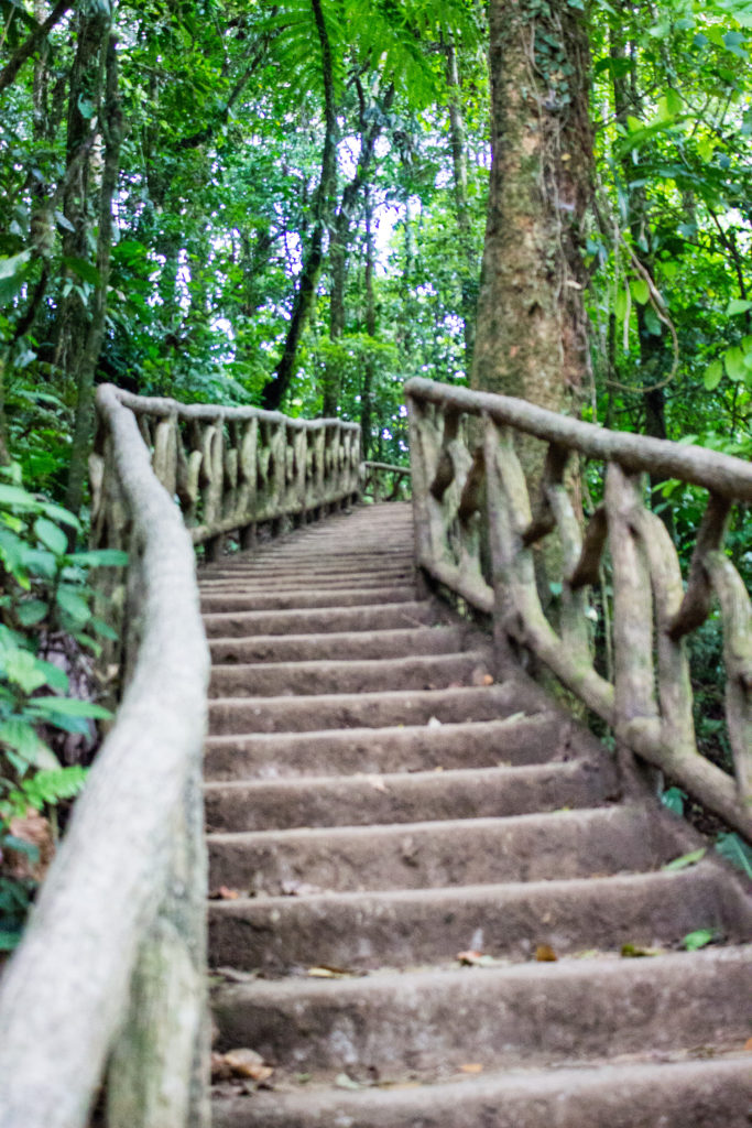Rio_Celeste_Costa_Rica_Stairs