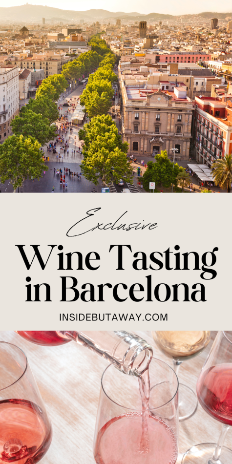 selection of rose wine showing the best wine tastings in barcelona