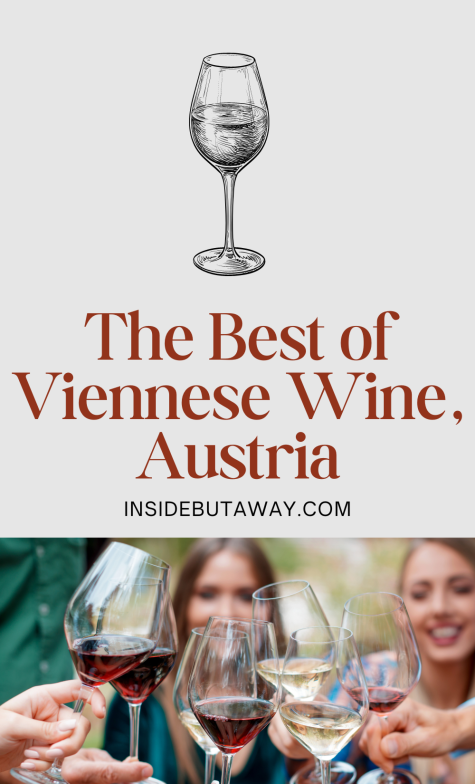 Group of people on wine tour in Vienna Austria
