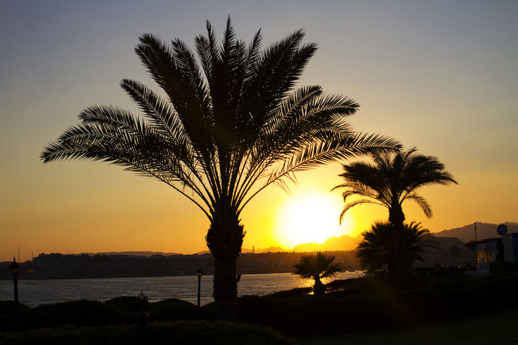 Sharm_el_Sheilk